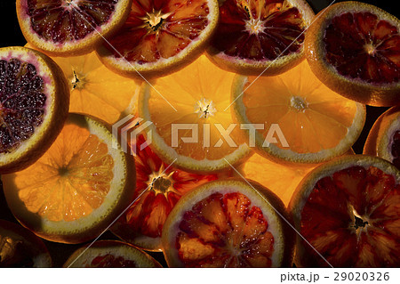 Abstract Background with Citrus-fruit Abstract Background with Citrus-fruit 29020326