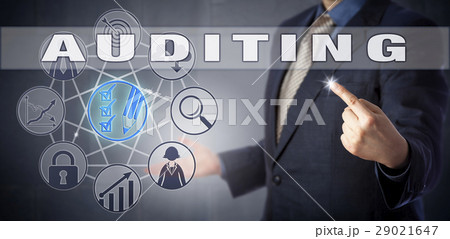 Male Corporate Accountant Activating AUDITING Male Corporate Accountant Activating AUDITING 29021647