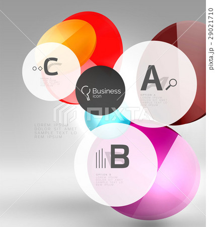 Vector circle infographics 29021710