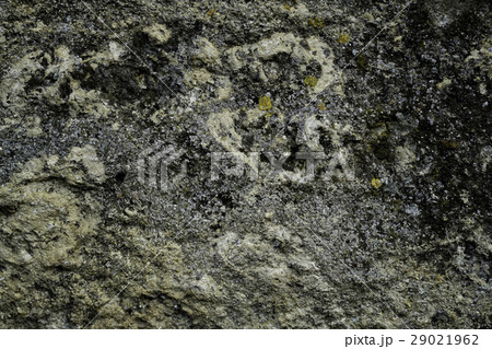 The detail texture of stone. Rock background. The detail texture of stone. Rock background. 29021962