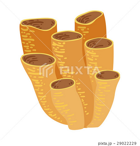 Brown Tube Coral, Tropical Reef Marine Brown Tube Coral, Tropical Reef Marine 29022229