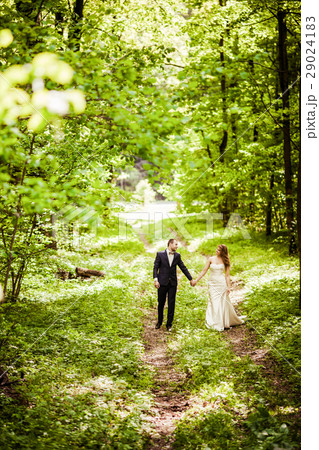 Groom and bride in the spring forest   29024183