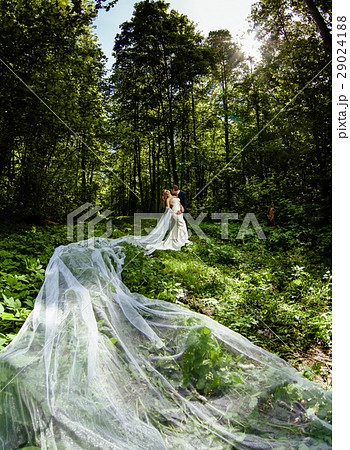 Groom and bride with very long bridal veil Groom and bride with very long bridal veil 29024188