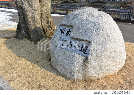 啄木であい道 29024640