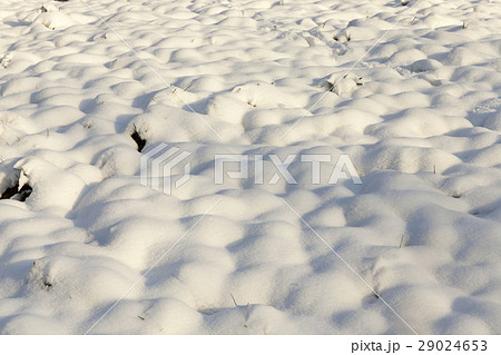 snow drifts, close-up 29024653