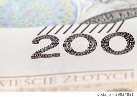 Polish Zloty closeup Polish Zloty closeup 29024881
