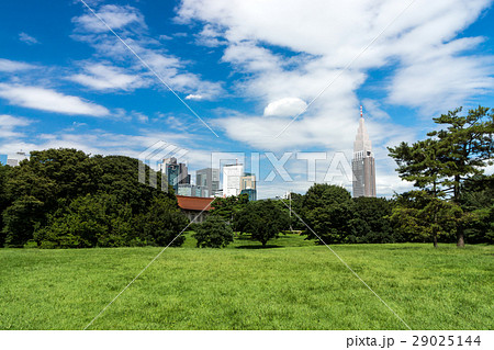 明治神宮　広場　ドコモ代々木ビル 29025144