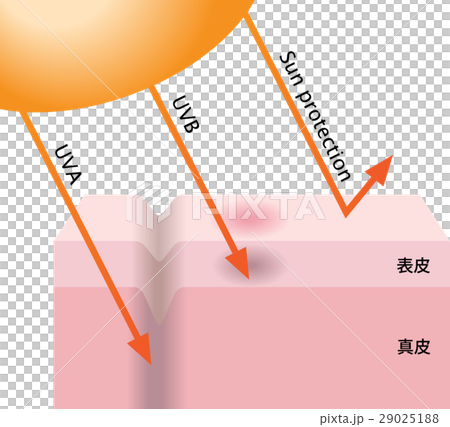 Ultraviolet Ultraviolet 29025188