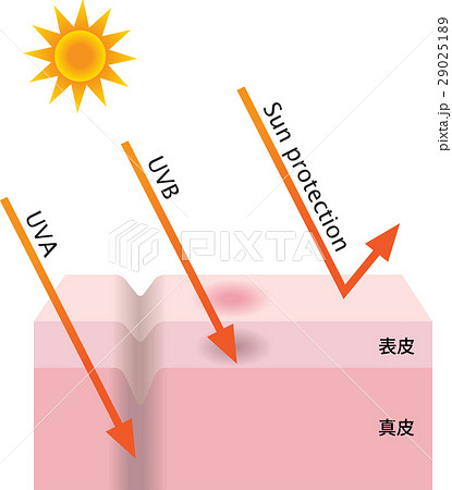 紫外線 紫外線 29025189