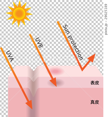 紫外線 紫外線 29025189