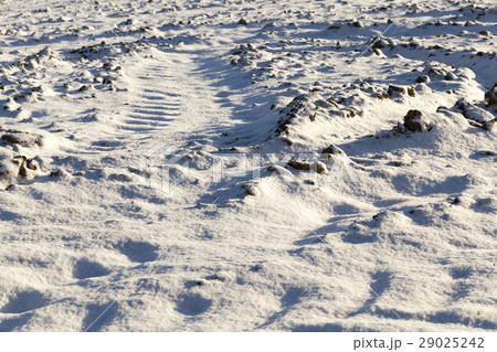Photo snow, close-up Photo snow, close-up 29025242