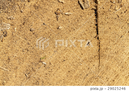 old split wood old split wood 29025246
