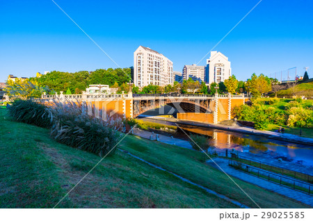 秋の長池公園 長池見附橋 秋の長池公園 長池見附橋 29025585