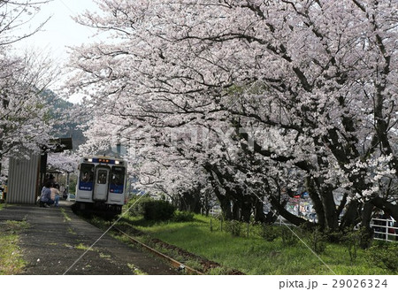 桜の駅　浦ノ崎駅 29026324