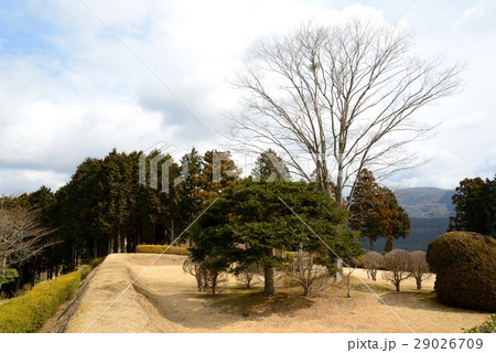 山中城跡 29026709