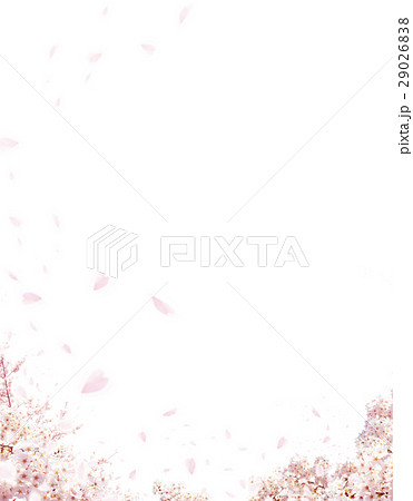 さくら 29026838