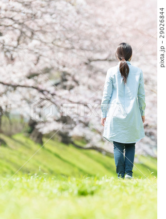 春イメージ 29026844