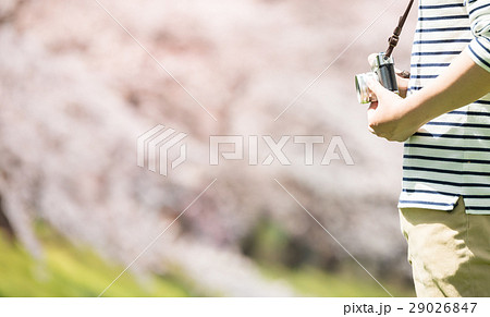 春イメージ 29026847