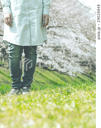 春イメージ 春イメージ 29026848