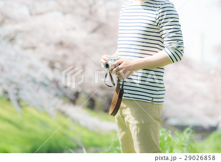 春イメージ 春イメージ 29026858