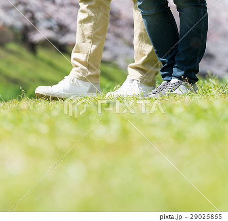 春イメージ 29026865