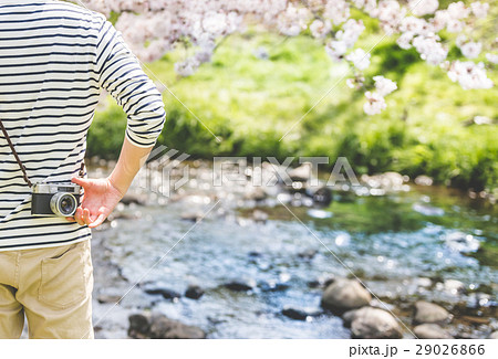 春イメージ 29026866