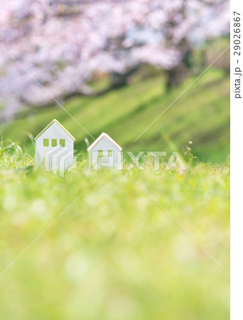 春イメージ 29026867