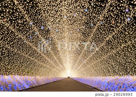 Nabana no Sato garden at night Nagoya. Nabana no Sato garden at night Nagoya. 29026993
