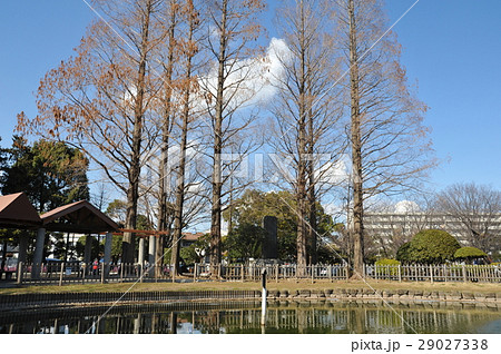 足立区元渕江公園） 29027338