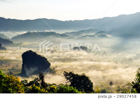 sunshine on the morning mist at Phu Lang Ka Phayao 29027458