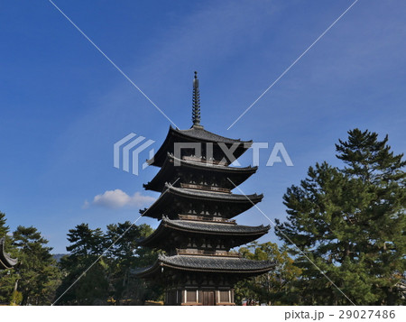 奈良・興福寺 29027486