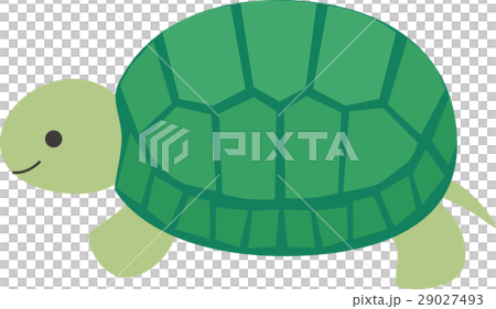 横向きのカメのイラスト素材 [29027493] - PIXTA
