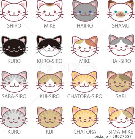 ねこ 29027657