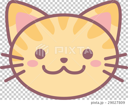 查特拉貓 29027809