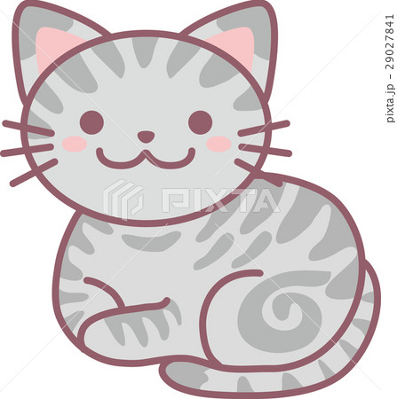 アメリカンショートヘアのイラスト素材