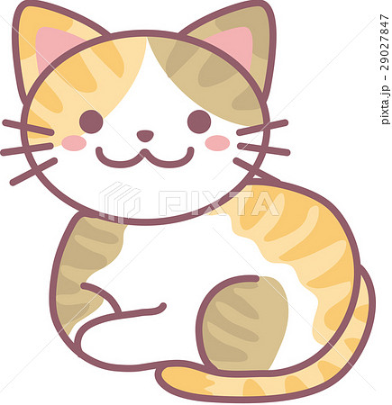 シマ三毛猫 29027847