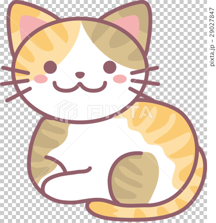 シマ三毛猫 29027847