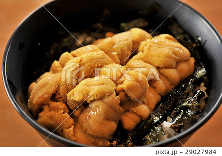 雲丹丼 29027984