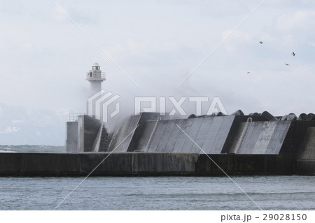 冬の荒海 29028150