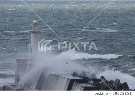 冬の荒海 29028151