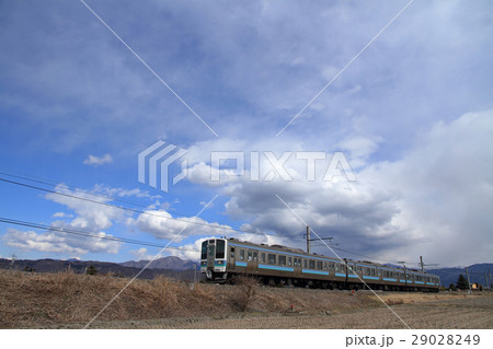 大糸線　春まだ浅い安曇野 29028249