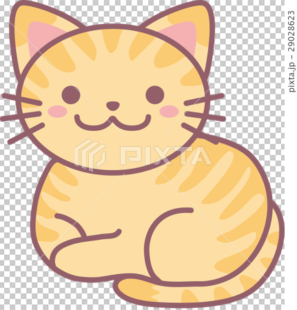 ちゃとらねこ ちゃとらねこ 29028623