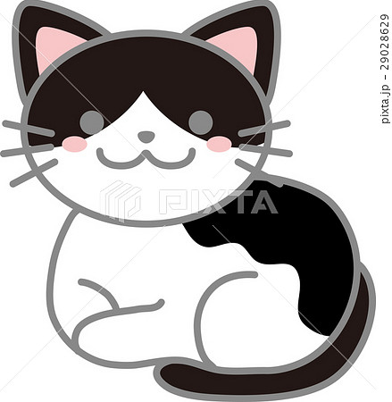 白黒猫のイラスト素材 29028629 Pixta