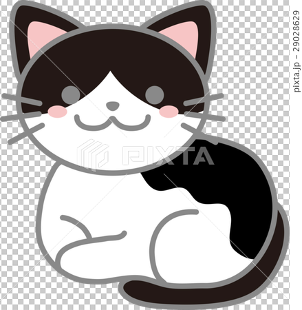 白黒猫のイラスト素材