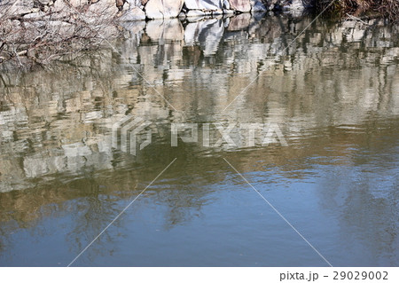水面に映る 29029002