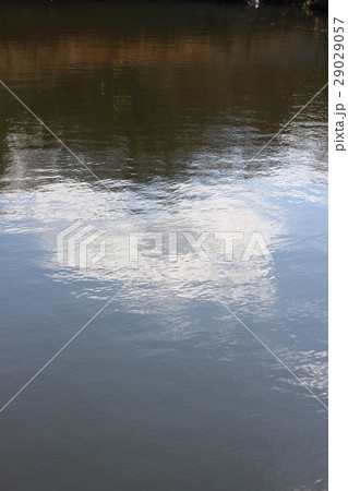 水面に映る 水面に映る 29029057