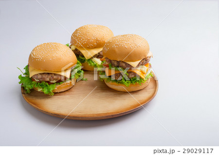 Delicious homemade hamburger Delicious homemade hamburger 29029117