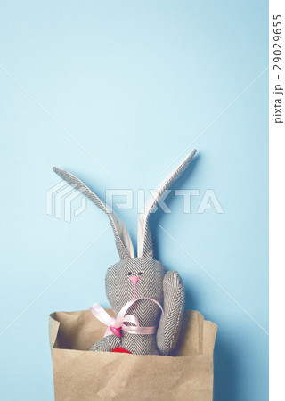 Easter bunny on a blue background 29029655