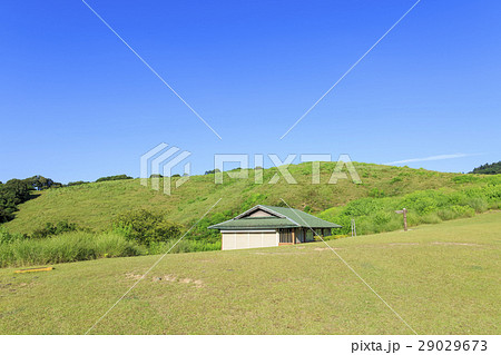奈良県・若草山・一重目 29029673