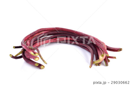 red Long bean  on white background 29030662